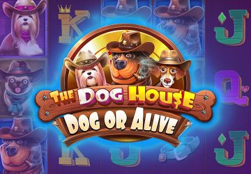 Игра The Dog House Dog Or Alive в Мотор казино